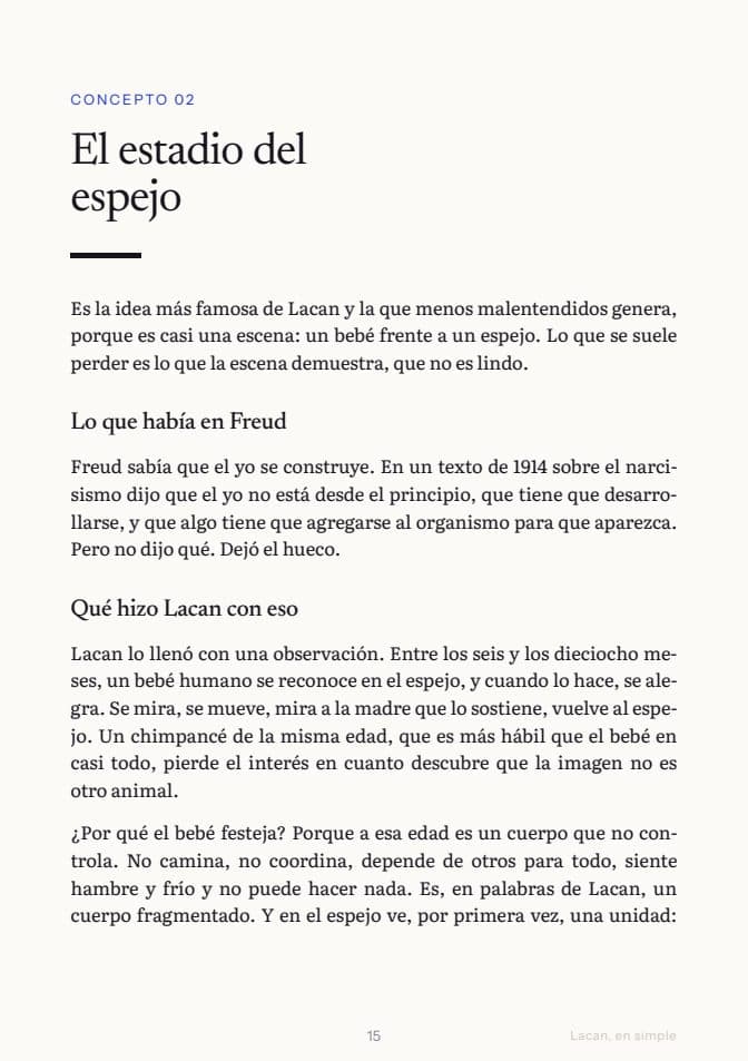 Página 15 de la guía: apertura del concepto El estadio del espejo